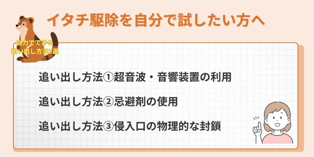 イタチ駆除を自分でしたい方へ