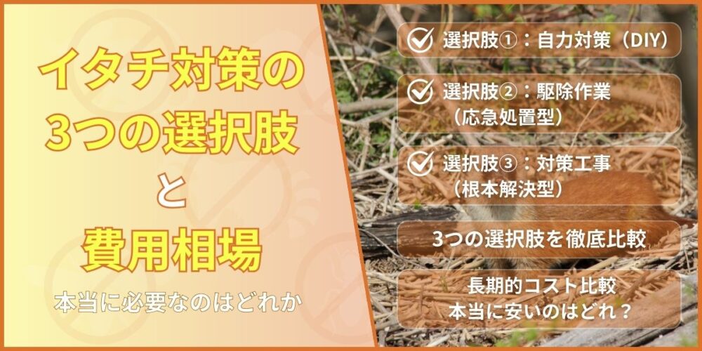 イタチ対策の3つの選択肢と費用相場｜本当に必要なのはどれか
