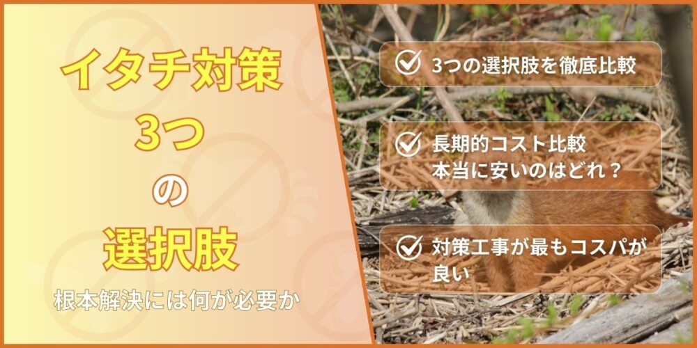 イタチ対策3つの選択肢