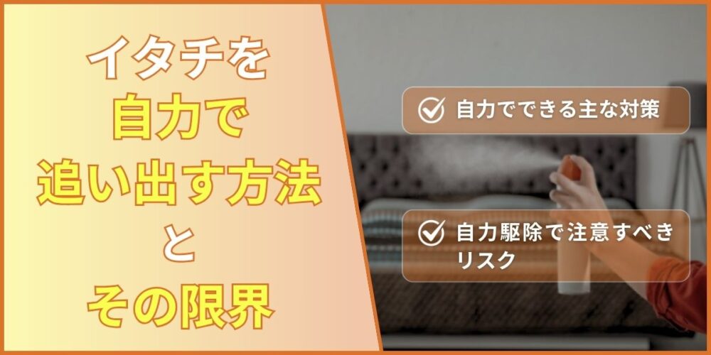 イタチ駆除の方法と限界