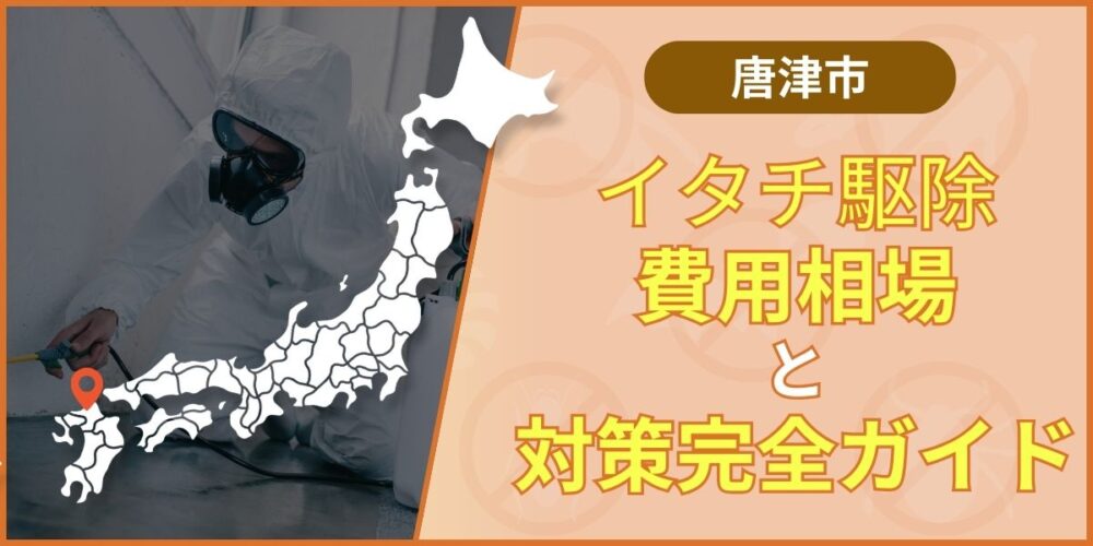 唐津市イタチ駆除の費用相場と失敗しない業者の選び方【2026年版】