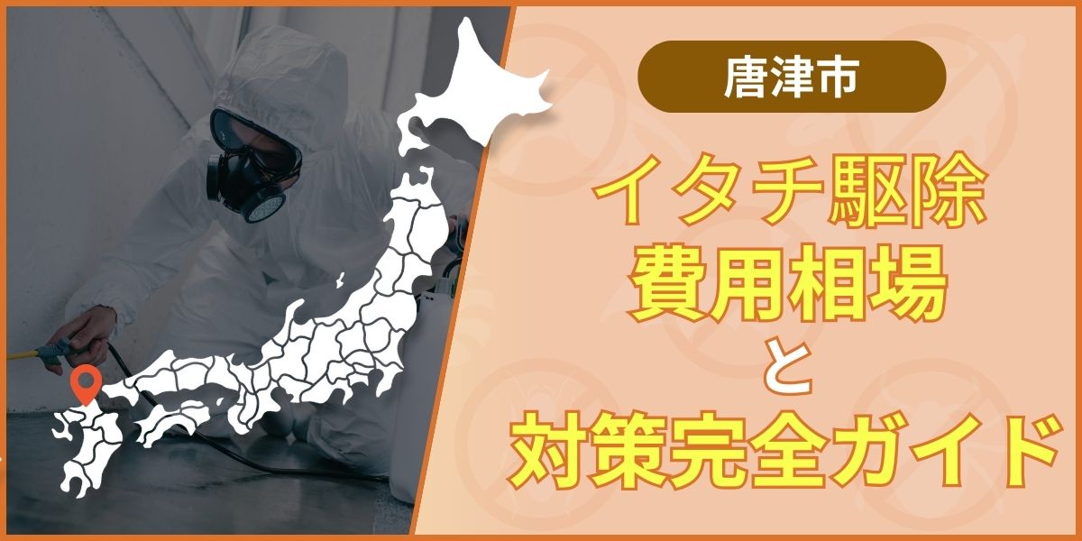 唐津市イタチ駆除の費用相場と失敗しない業者の選び方【2026年版