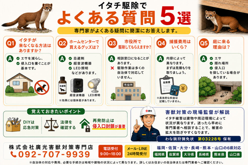 イタチ駆除に関するよくある質問と回答
