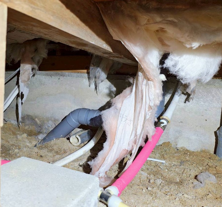 イタチ　熊本　配管