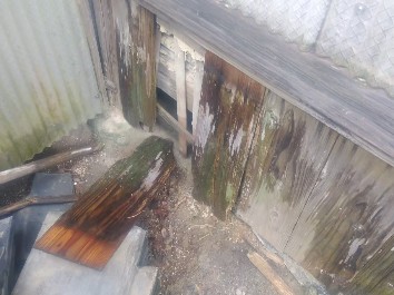 イタチ 熊本 侵入