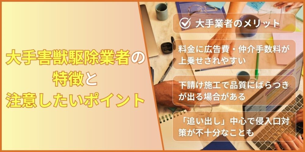 大手駆除業者の特徴