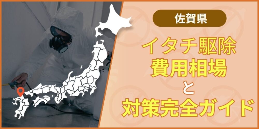 佐賀でおすすめのイタチ駆除業者｜根本解決できる業者の選び方