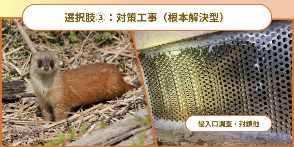 選択肢③：対策工事（根本解決型）
