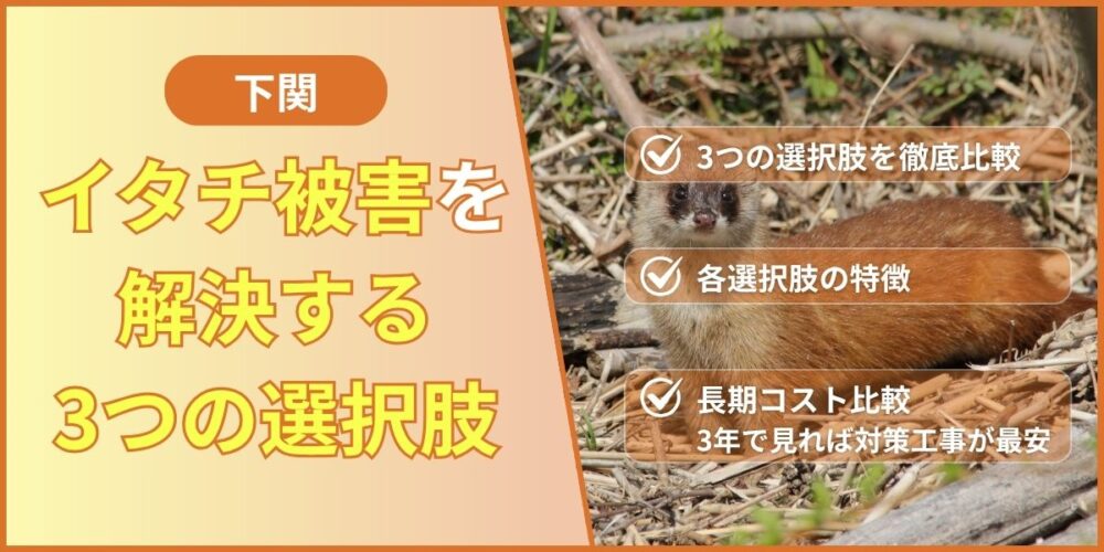 イタチ駆除の3つの選択肢