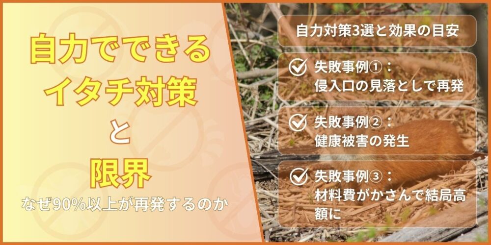 自力でできるイタチ対策と限界｜なぜ90%以上が再発するのか