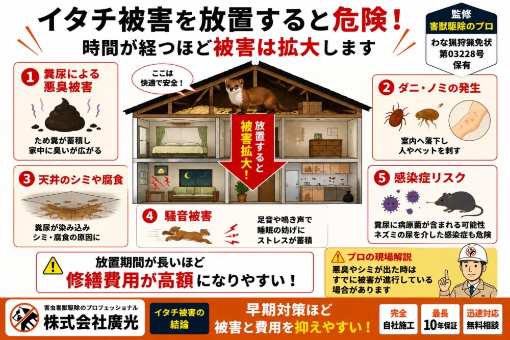 イタチを放置するとどうなる