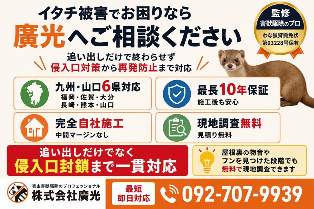イタチ被害なら廣光にお任せ!