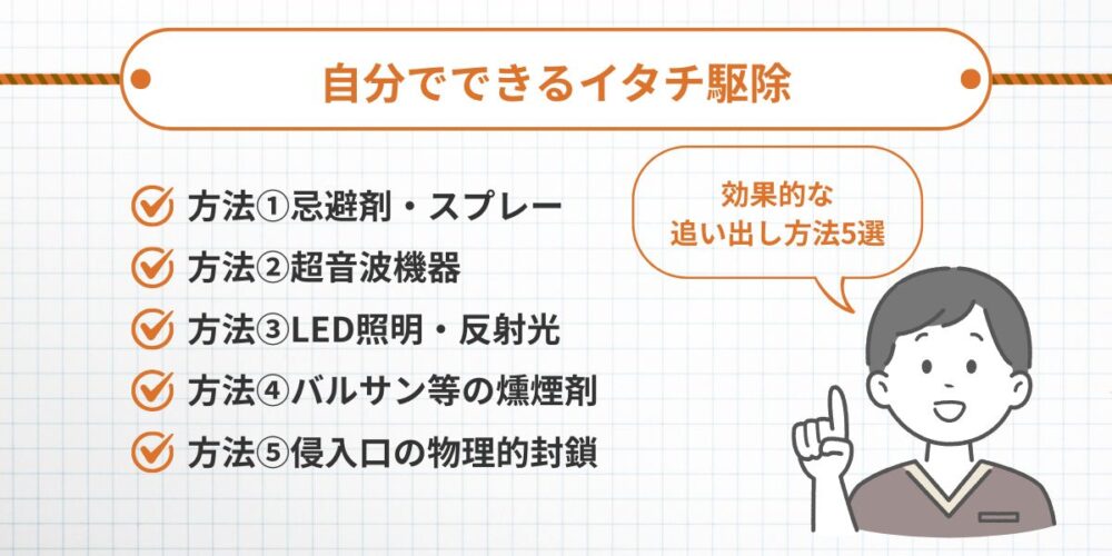 自分でできるイタチ駆除