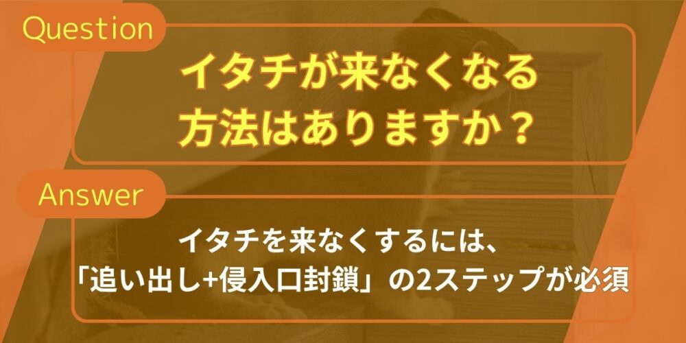 イタチ駆除よくある質問