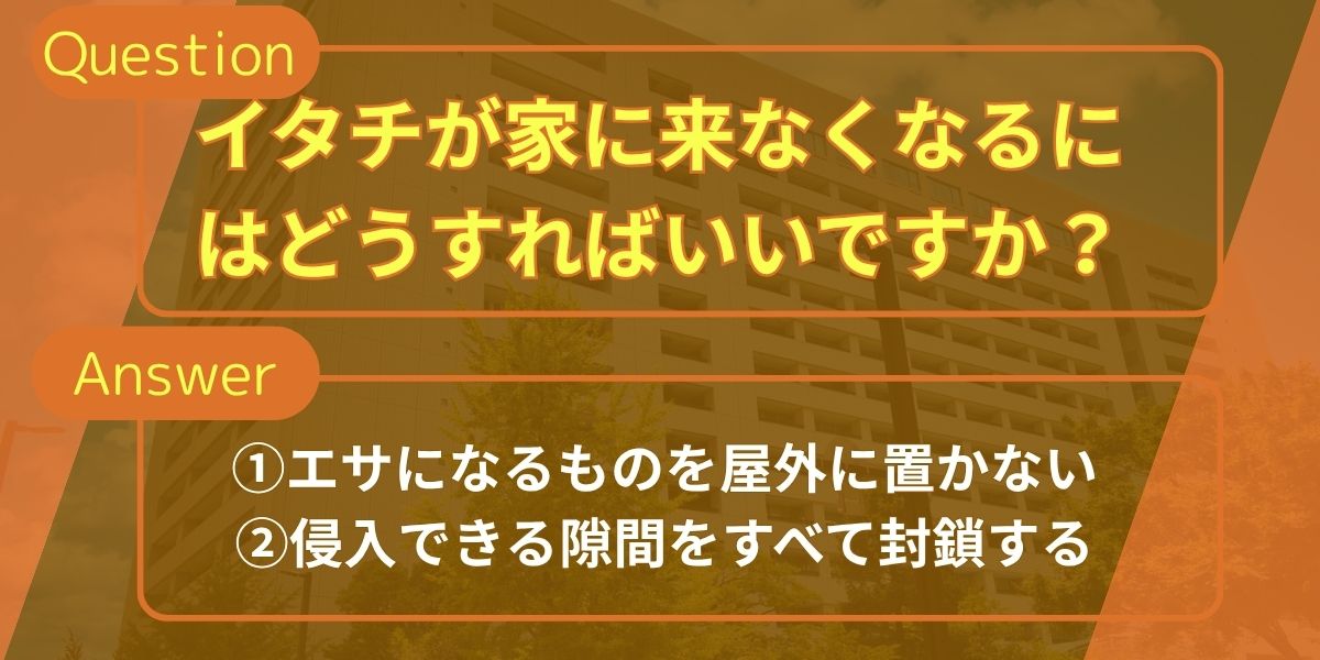 イタチが家に来なくなるにはどうすればいいですか？