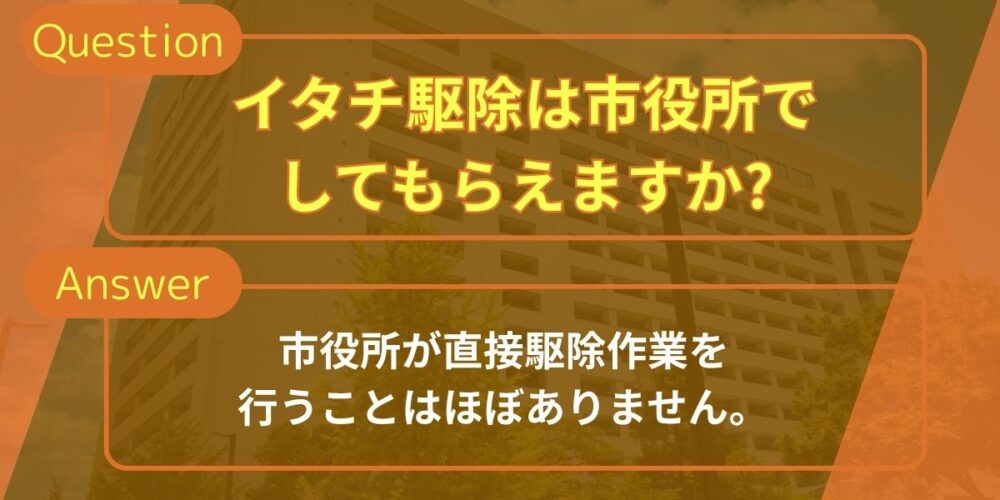 イタチ駆除よくある質問