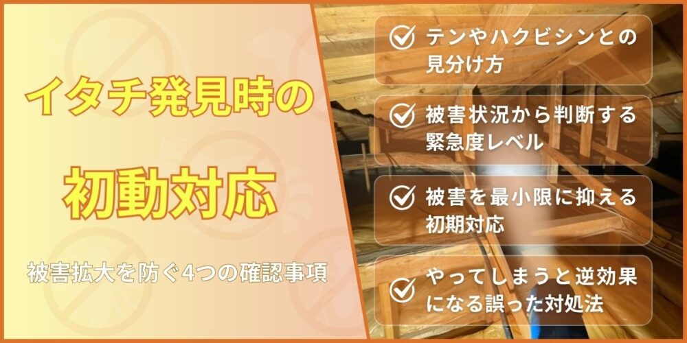 イタチ発見時の初動対応