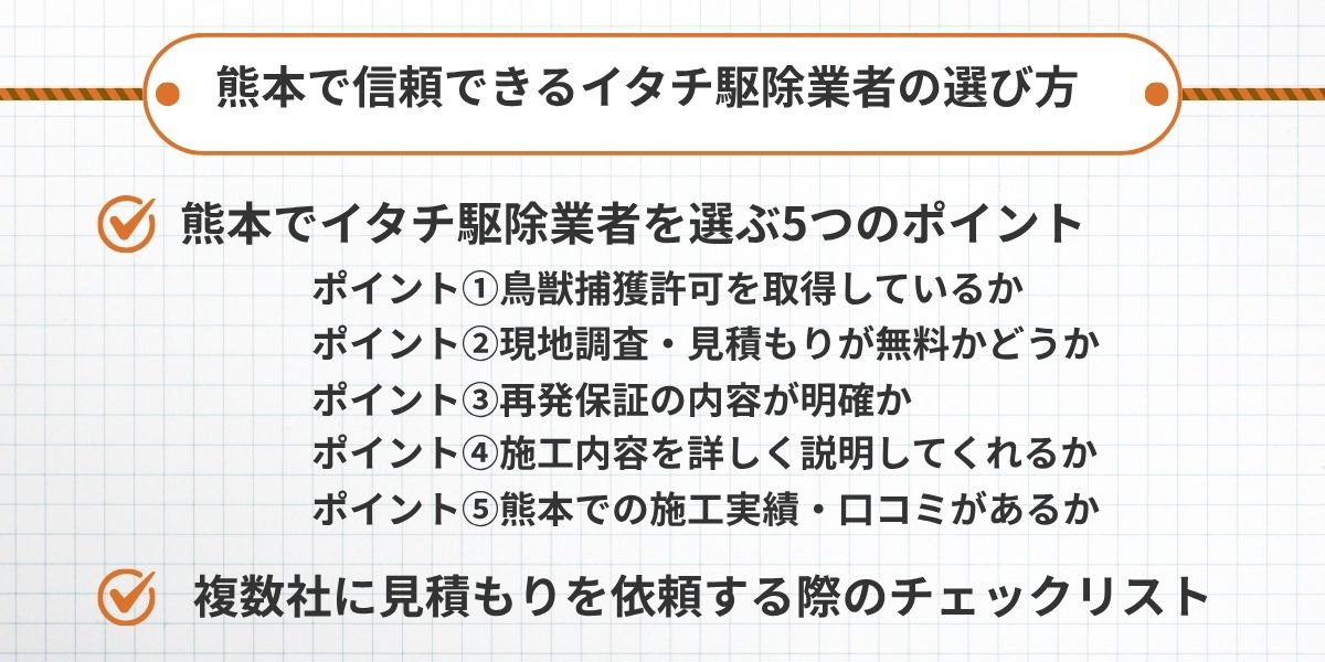 熊本で信頼できるイタチ駆除業者の選び方