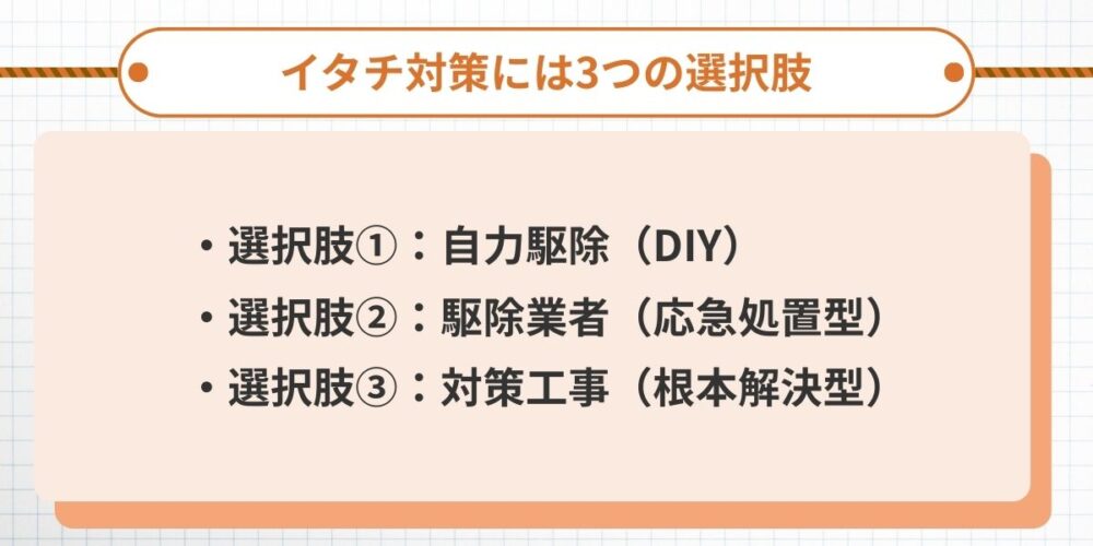 イタチ対策には3つの選択肢