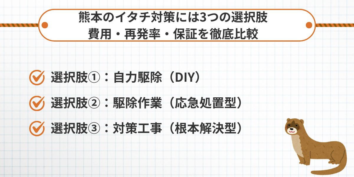 熊本のイタチ対策には3つの選択肢
費用・再発率・保証を徹底比較
