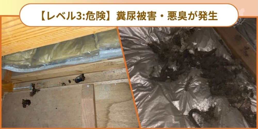 糞尿被害・悪臭被害