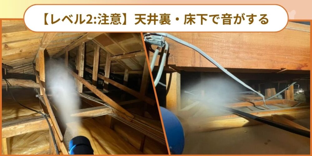 天井裏・床下で物音がする