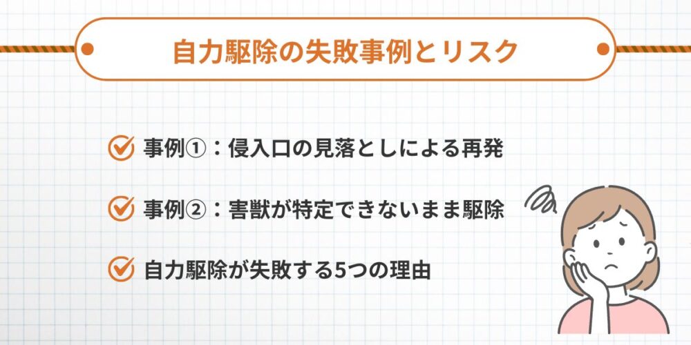 自力駆除の失敗事例アライグマ