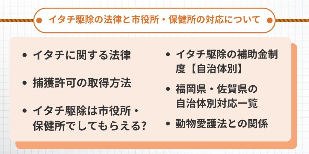 イタチ駆除の法律と市役所・保健所の対応について
