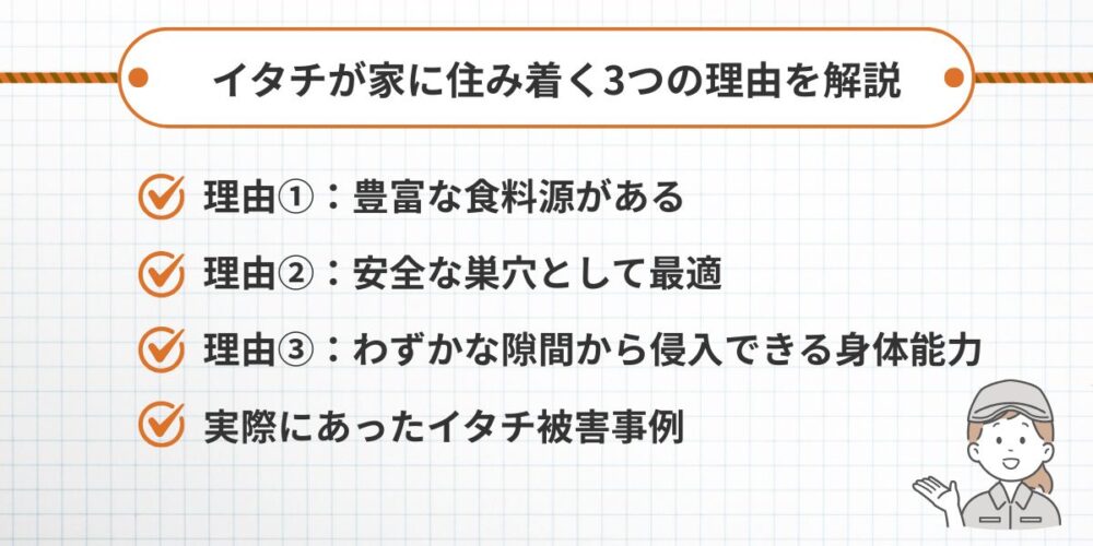イタチが家に住みつく理由