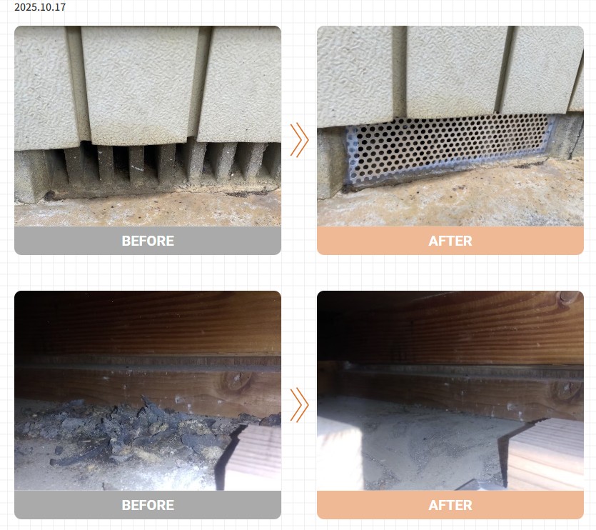 イタチ駆除実績