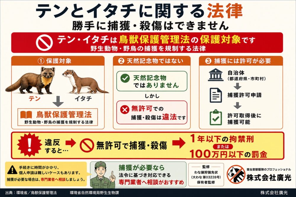 テンとイタチに関する法律
