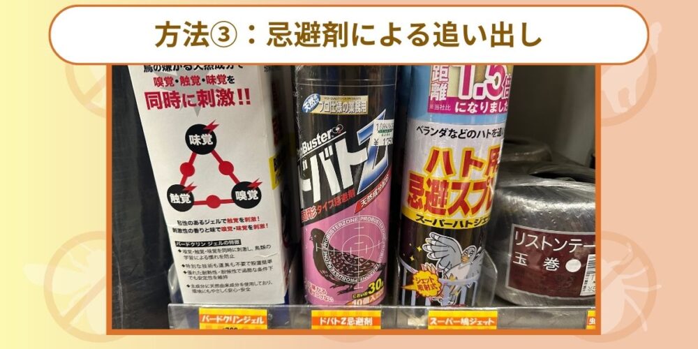 アライグマ忌避剤による追い出し
