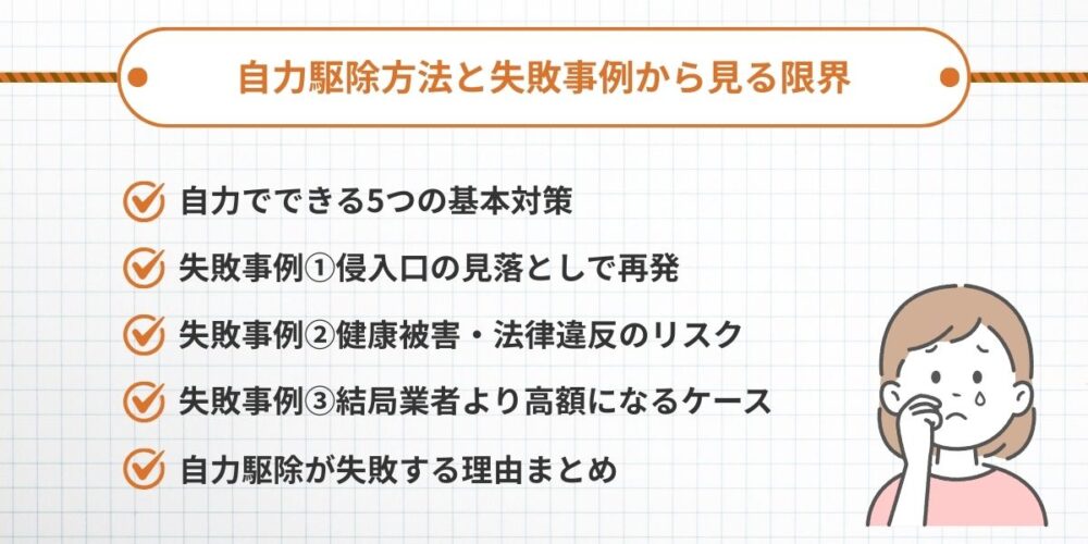 自力でハクビシン駆除はできる？方法と失敗事例から見る限界
