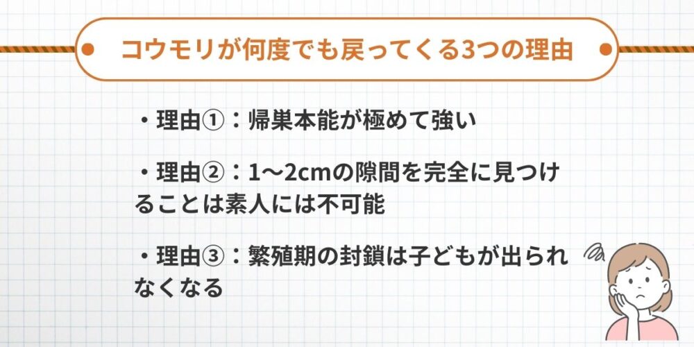 コウモリが何度でも戻ってくる理由