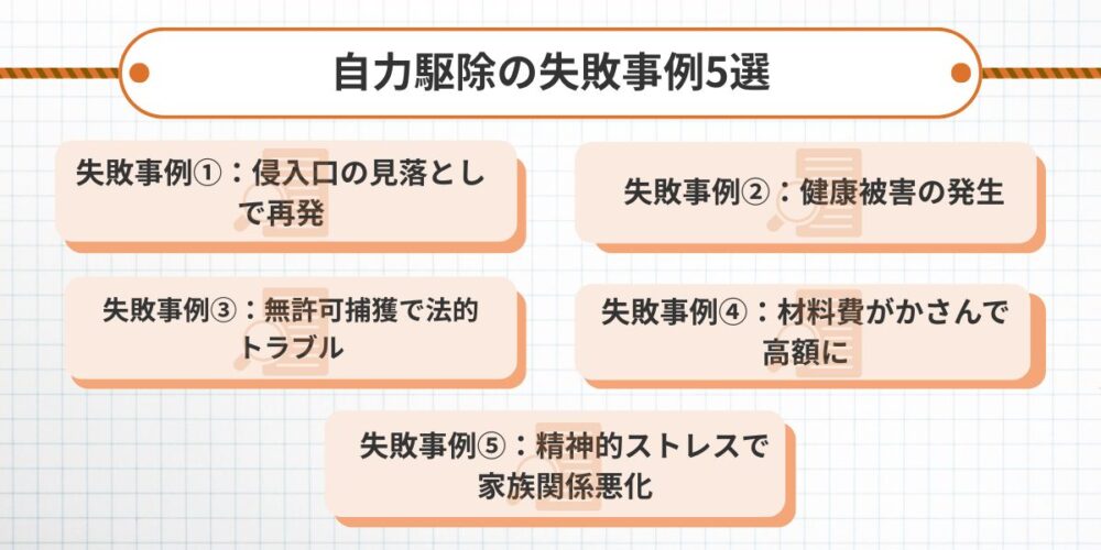 ハクビシン自力駆除の失敗事例