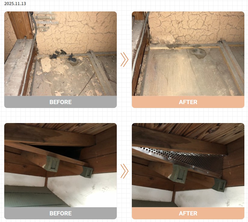 アライグマ駆除実績