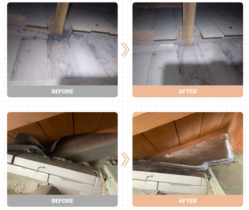 アライグマ被害