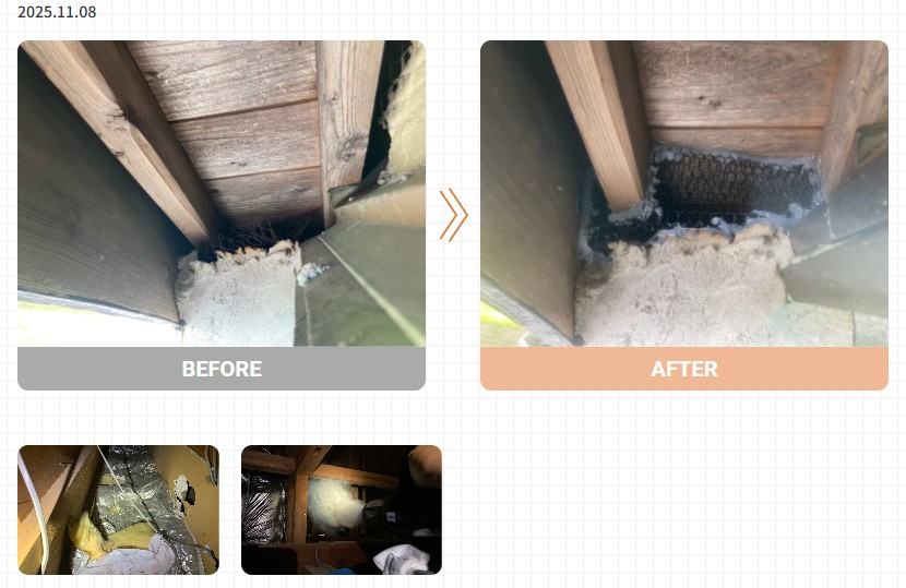 アライグマ駆除実績