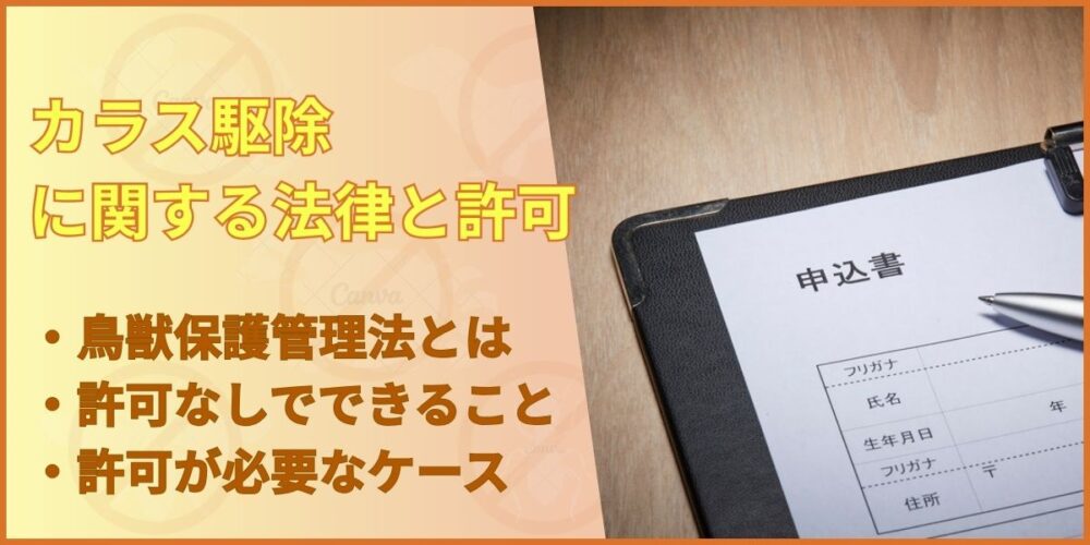 カラス駆除に関する法律と許可