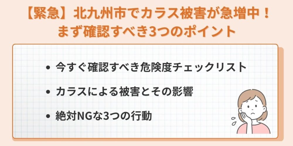 【緊急】北九州市でカラス被害が急増中！まず確認すべき3つのポイント