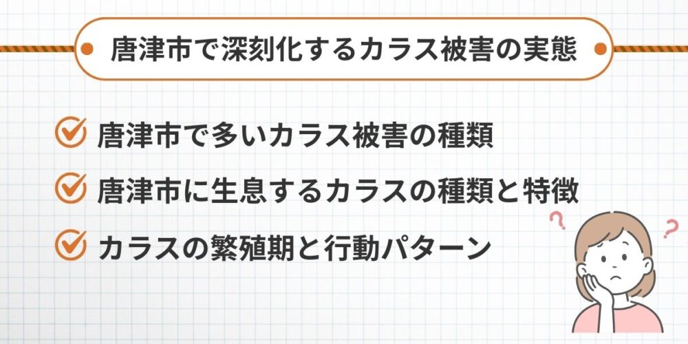 唐津市で深刻化するカラス被害の実態