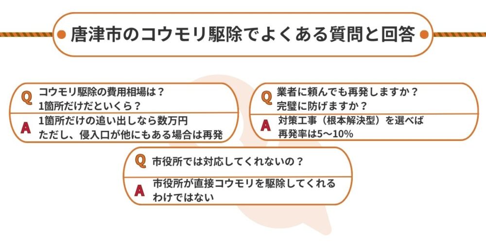 唐津市のコウモリ駆除でよくある質問と回答