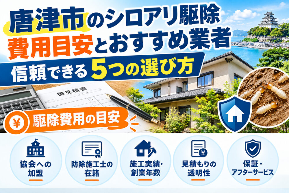 唐津市のシロアリ駆除費用目安とおすすめ業者｜信頼できる5つの選び方