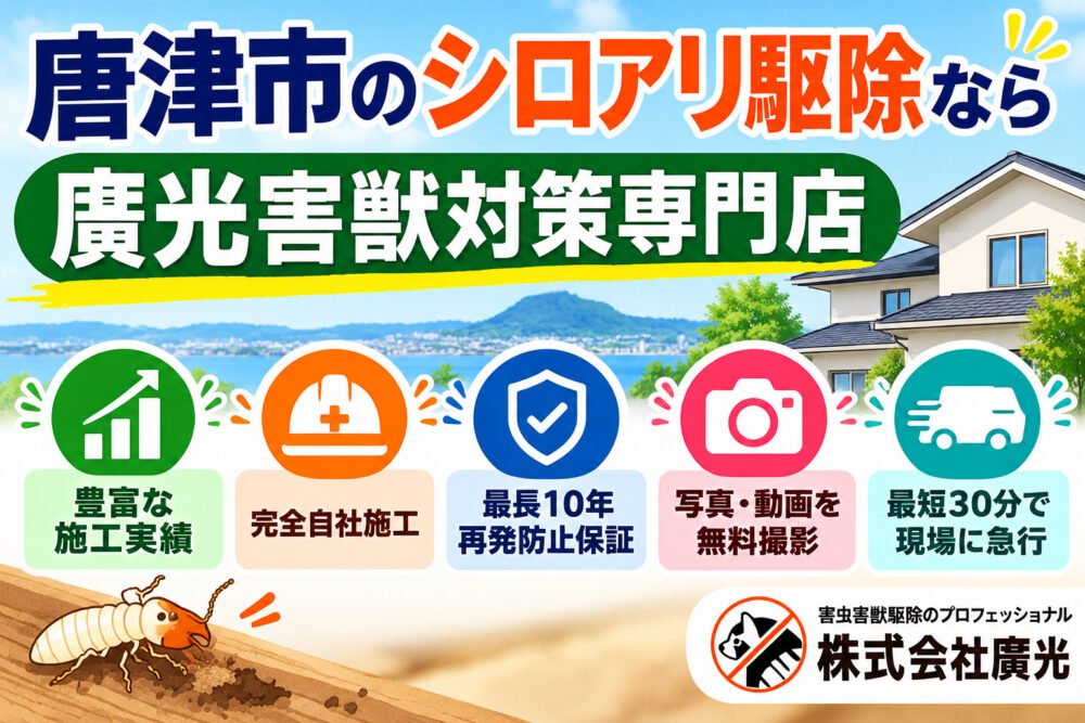 唐津市のシロアリ駆除なら廣光害獣対策専門店