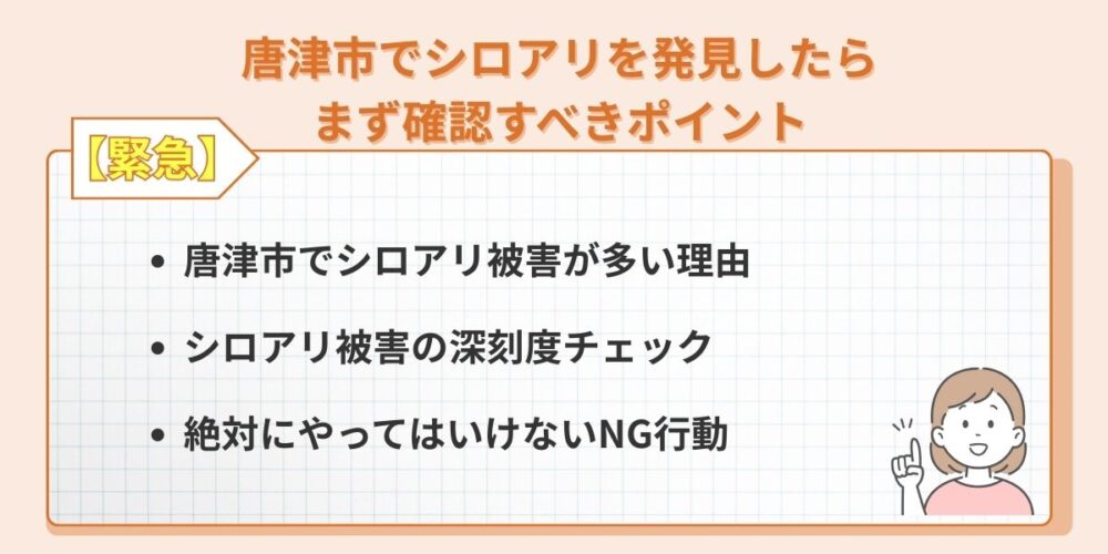 唐津市でシロアリを発見したらまず確認すべきポイント