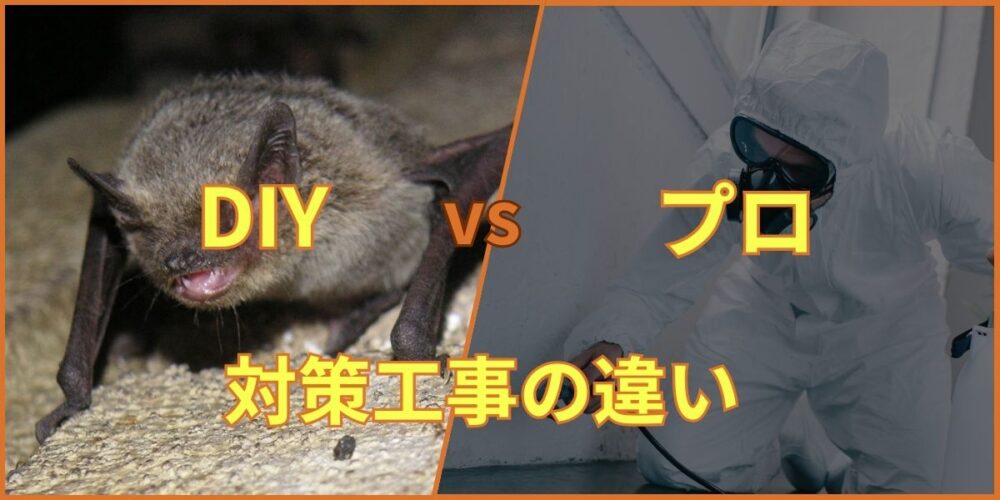 DIY vs プロの対策工事の違い