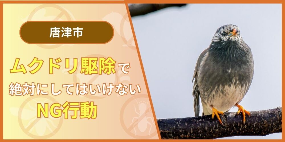 ムクドリ駆除で絶対にしてはいけないNG行動