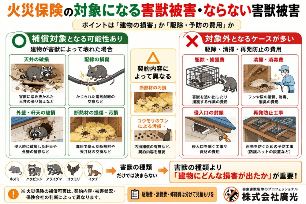 火災保険の対象になる害獣被害・ならない害獣被害