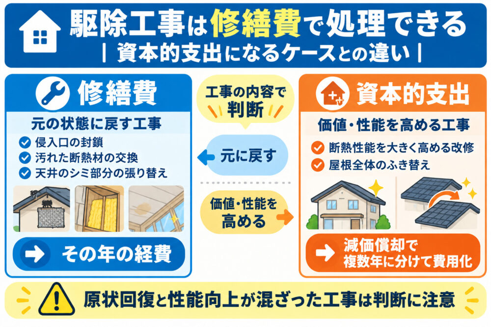 駆除工事は修繕費で処理できる｜資本的支出になるケースとの違い