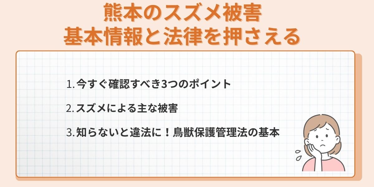 熊本のスズメ被害
基本情報と法律を押さえる